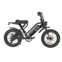 Ariel Rider X-Class 52V - Electric Moped 2025 - 🇨🇦 Canada